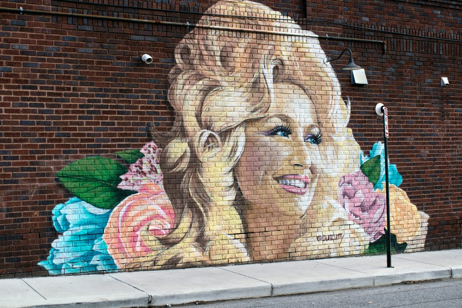 Dolly Parton’s Remarkable Journey: From Humble Beginnings to a $650 Million Net Worth